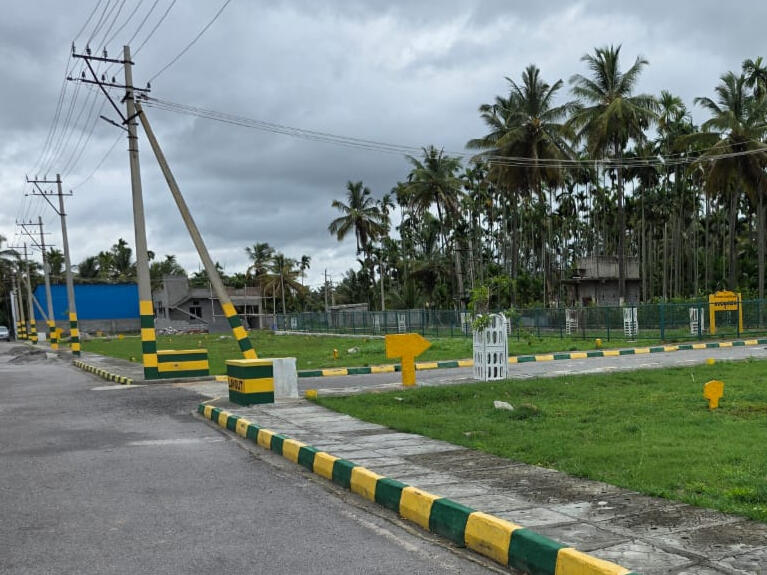 Plot View Intersection